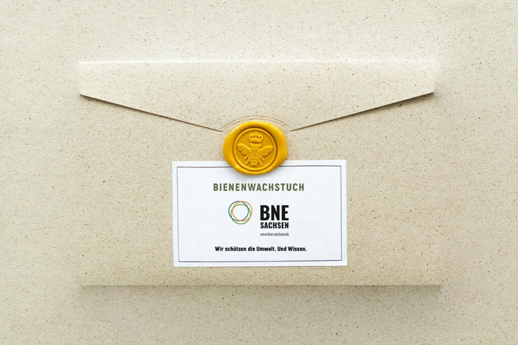 bne sachsen