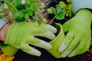 FAIR ZONE Gartenhandschuhe