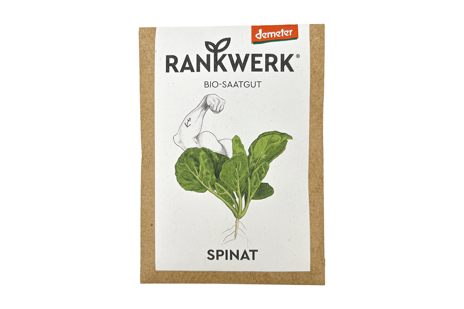 Rankwerk Bio Saatgut Spinat