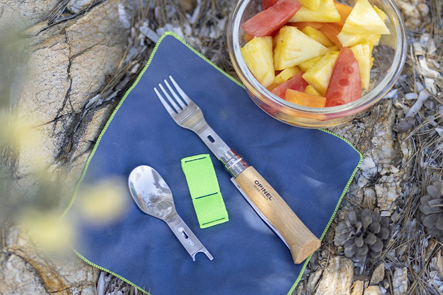 Opinel Komplettset Picnic+