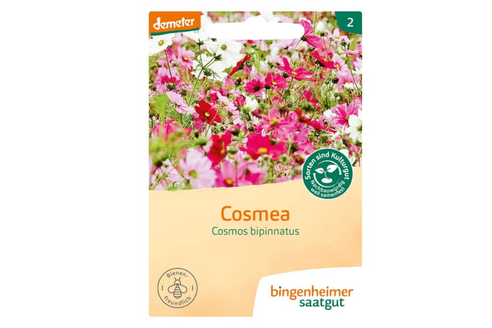 Bingenheimer Saatgut Cosmea