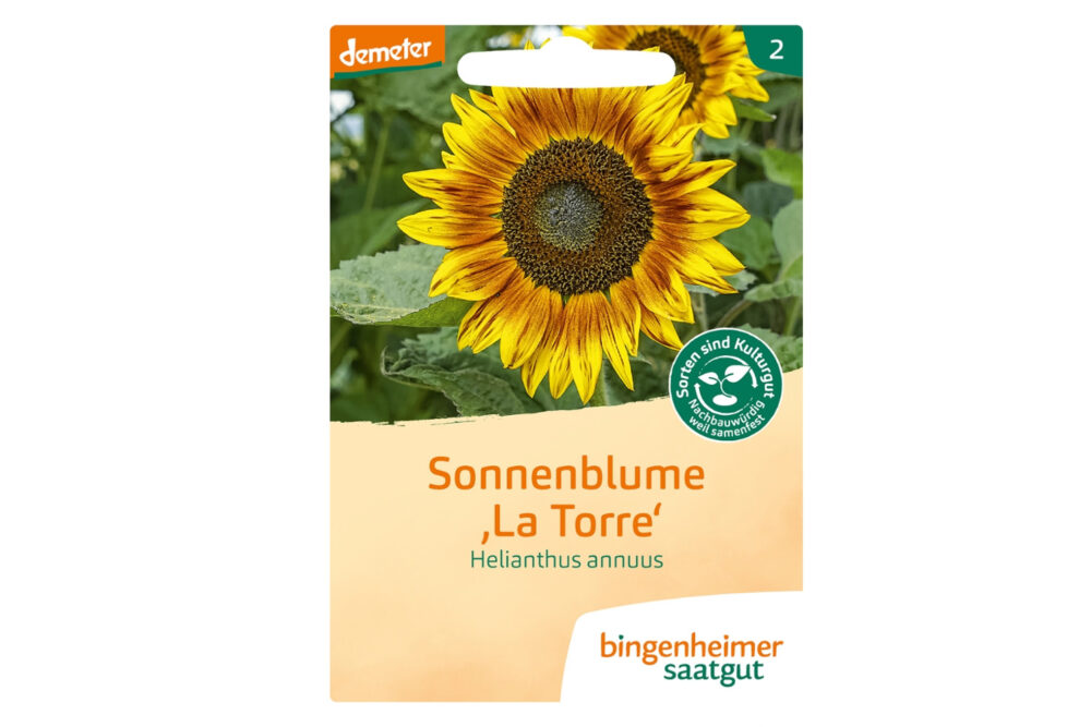 Bingenheimer Saatgut Sonnenblume Torre