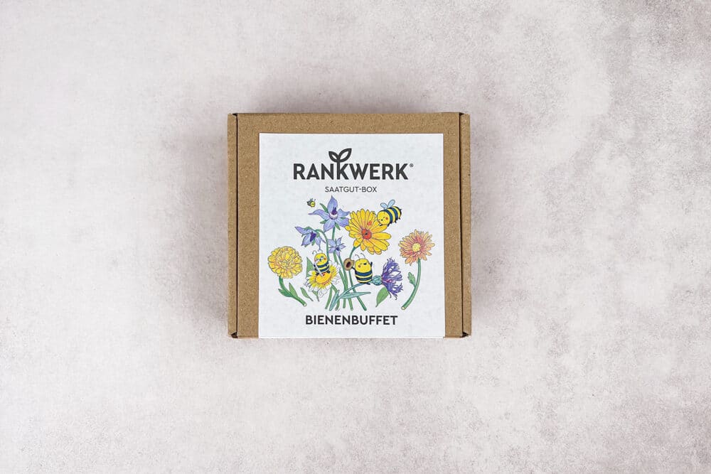 Rankwerk Bio Saatgutbox Bienenbuffet