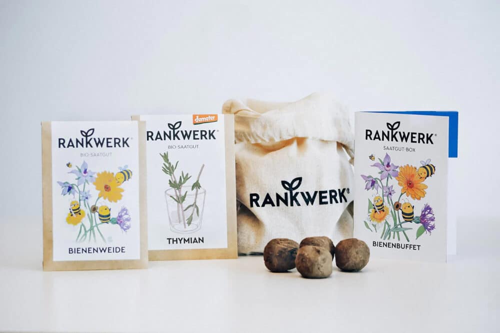 Rankwerk Bio Saatgutbox Bienenbuffet